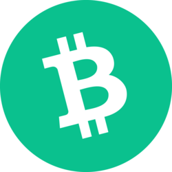 Bitcoin Cash 로고